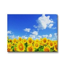 오키드문 보석 십자수 30*40 캔버스형, 보석십자수30*40 FR01, 1개