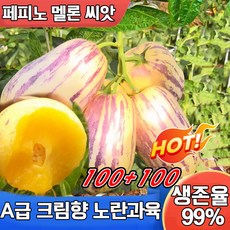 5A급 우휴향 황금 페피노 멜론 씨앗 신품종 노란과육 인생과 종자 크림향 페피노 멜론 모종 생존율 99%, 2개, 10g