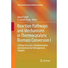 (영문도서) Reaction Pathways and Mechanisms in Thermocatalytic Biomass Conversion I: Cellulose Structure... Paperback, Springer, English, 9789811013164