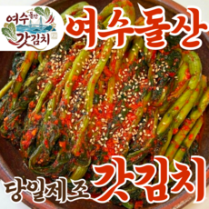 [하루특가] 당일제조 명품김치 전라도 여수돌산 갓김치, 1박스, 3kg