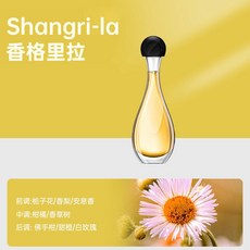 慧香氛機 香氛噴霧機 自動噴香機 擴香機 無水香氛機 新品限時優惠, 【隨機精油一瓶】【每人限拍一個】