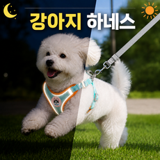 루아른 야간빛반사 편안한착용 강아지 하네스 리드줄포함, 1개, 민트 1개, 민트