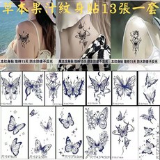 紋身貼紙13張一套/草本果汁紋身貼紙蝶舞系列/草本果汁圖案紋身貼, 1個, T9-草本果汁紋身貼紙蝶舞系列13張一套