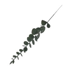 스튜디오 사진관 식물 소품 초록 단품 39cm 철사재질 인조잎사귀 거실 장식 A타입, 1개