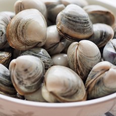 제철 서해안 생물 동죽 2kg 세척 해감 물총조개 산지직송, 1박스