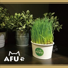 AFU 貓草杯, 1個