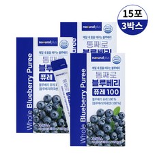 통째로 블루베리 퓨레 100% 20g 건강즙 청 원액 음료 과채 주스 해썹인증, 3박스, 300g