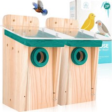 Ping Bird House