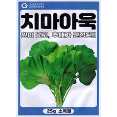 그린하트바이오 치마아욱 씨앗 종자 넓은잎 아욱 텃밭 채소 재배용 25g 그린하트, 1개