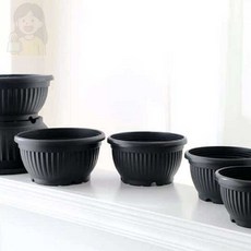 SolSun 분재 호박화분 낮은화분, 15x10cm