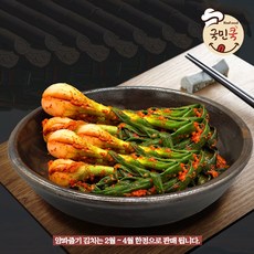 봄철 별미 국민쿡 남도일품 양파줄기김치 [원산지:국산], 1개, 1kg