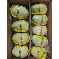 베트남 망고 xoai tu quy, 1박스, 2kg