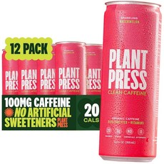 자연농 에너지 드링크 100mg 수박맛, 12개, 355ml