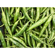 국내산 신선한 청양고추 (상), 1개, 5kg