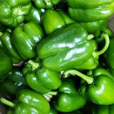 국내산 못난이 초록파프리카 청파프리카, 1개, 1kg