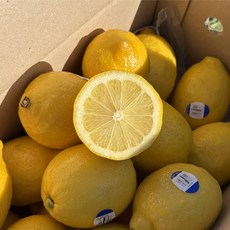최상급 팬시 생레몬 21과-165과 1박스 중소과 대과 로얄과, 21과, 중소과(100g내외)