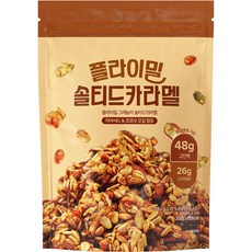 플라이밀 솔티드카라멜 그래놀라 시리얼, 250g, 1개