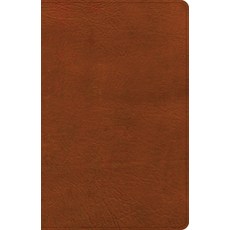 (영문도서) NASB Large Print Thinline Bible Burnt Sienna Leathertouch Imitation Leather, Holman Bibles, English, 9781430086024