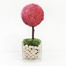 모스트리 순록이끼나무 핸드메이드 스칸디아모스, 1개, 씨클라멘