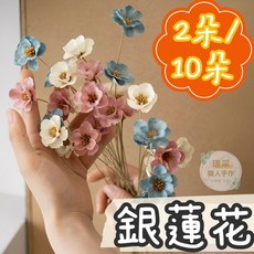 璟采職人 銀蓮花乾燥花/永生花，小雛菊瑪格莉特手工花材，不凋仿真花捧花 (2朵/10朵), 獨家★銀色(我已閱內文1-7點並同意,【10朵/束】我已閱內文1-7點並同意, 銀色