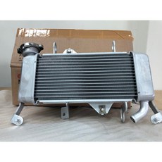 YZF-R15 V3/YZF-R155 原廠水箱總成 風扇 BK6-E2460-00, 1個, BCW