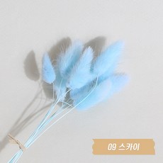 화연양화 프리저브드플라워 선별 라그라스 강아지풀 10개입, 09 스카이