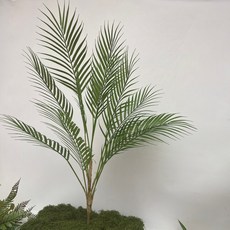 高仿真綠植蕨草綠色蕨類植物腎蕨熱帶雨林軟膠櫥窗景觀造景裝飾, 11葉散尾樹, 1個