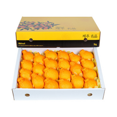 제주 한라봉(중) (19~23과), 1개, 5kg