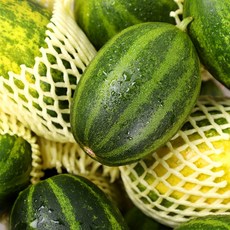 [한 달간 맛보는] 꿀과즙 고령 파파야멜론 고당도 메론 산지직송, 1박스, 2kg (3-7과)