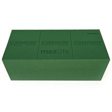 오아시스 20cm 플로피아 이코노미 랜덤발송 직사각 고급형 플라워폼 플로랄폼 꽃꽂이 재료, 1개