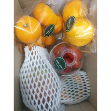 1인과일 혼합과일 과일정기배송 과일구독 소량과일 제철과일 자취생과일, 1.5kg, 1개