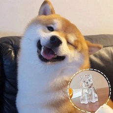 웨버몰 반려동물 털 보관 키링, 1개, 투명