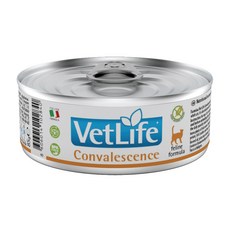 Farmina 法米納 Vet Life 貓處方罐 85g, 1個, FC-9011貓處方85g-高營養*12, 腎臟/腸胃道, 高營養