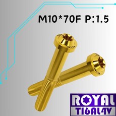 ROYAL 鈦合金螺絲 M10*70F P:1.5 飛碟頭型螺絲 64鈦螺絲 四色可選, 1個, 土豪金