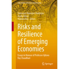 (영문도서) Risks and Resilience of Emerging Economies: Essays in Honour of Professor Ajitava Raychaudhuri Hardcover, Springer, English, 9789819940622