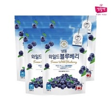 냉동 와일드 블루베리(캐나다) 500g x 5팩