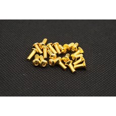 HIRO SEIKO 不鏽鋼螺絲 (M3系列) 24K金, 1個, 平頭,M3x18 (每包6支)