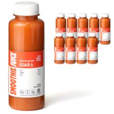 쥬스어트 씨씨에이 주스 (냉동), 300ml, 10개