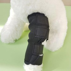 단비가 강아지 발목 보호대 강아지다리보호대, 블랙1p_L
