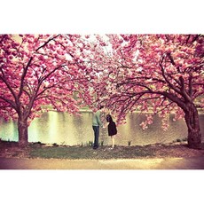 네모 반짝이는 DIY공예 봄 20x30 사랑 보석십자수 3D 58093pc 1(EA), 색상