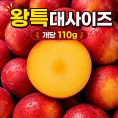 좋은친구들 후무사 도담 자두 산지직송 제철 왕특사이즈 왕특대과 대왕자두, 1박스, 1kg