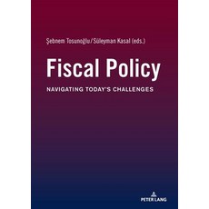 (英文圖書)Fiscal Policy: Navigating Today's Challenges 平裝版, Peter Lang Gmbh, Internatio..., 英文