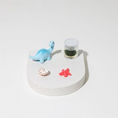 마리모와 공룡친구들 (마리모 사이즈 S), 1개