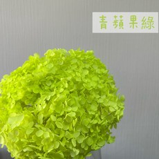 花藝夢*進口 帶梗安娜繡球花 永生繡球花 *整枝販售* 木繡球花 乾燥花 永生花 永生花 不凋花 配花 主花, 青蘋果綠