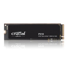 마이크론 Crucial P310 M.2 NVMe 아스크텍, 1TB, P310 2280 SSD