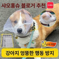 윤화마켓 강아지커버 양봉모자 해충방지 페이스, 화이트 메시 3개, 1개