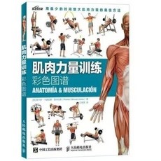 【 臺灣現*貨贈書籤】促銷全3冊拉伸訓練 無器械力量訓練 肌肉力量訓練彩圖 體育健身專業書籍 國中大書局 正品採購, 肌肉力量訓練