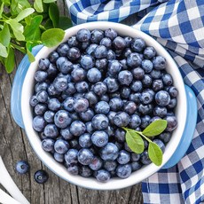 블루베리 최상급 프리미엄 생블루베리 데코 요거트 쥬스용 100g x 5팩, 생블루베리 100g x 5팩, 생블루베리 100g x 5팩