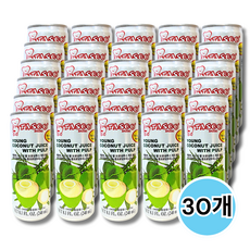 [타스코] 영코코넛주스 위드 펄프 Young coconut juice with pulp, 240ml, 12개
