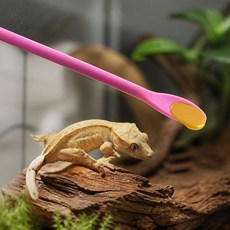 파스텔 컬러 실리콘 파충류 도마뱀 먹이 급여 긴 스푼 피딩 크레피딩 크레용품 피딩용품, 없음
